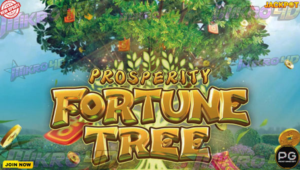 RAHASIA MAXWIN DI PROSPERITY FORTUNE TREE PANEN CUAN TANPA SYARAT!