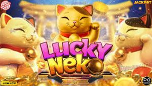 Stop Main Buta! Ini 3 Pola Payline Lucky Neko yang Paling Akurat dan Bikin Gacor